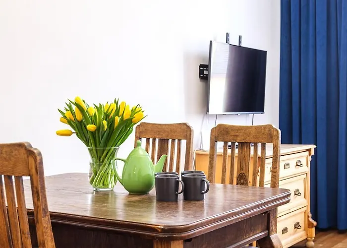 Tyzenhauz Krowoderska Street 公寓